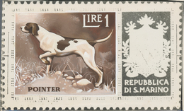 Thematik: Tiere-Hunde / Animals-dogs: 1956, San Marino, 1lire "Pointer", Two Photographic B/w Essays - Perros