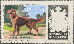 Thematik: Tiere-Hunde / Animals-dogs: 1956, San Marino, 25lire "Irish Setter", Two Photographic B/w - Perros