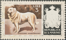 Thematik: Tiere-Hunde / Animals-dogs: 1956, San Marino, 31lire "Sheep Dog", Two Photographic B/w Ess - Dogs