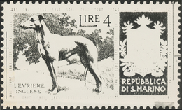 Thematik: Tiere-Hunde / Animals-dogs: 1956, San Marino, 4lire "English Greyhound", Two Photographic - Honden