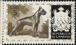 Thematik: Tiere-Hunde / Animals-dogs: 1956, San Marino, 5lire "Boxer", Two Photographic B/w Essays I - Honden