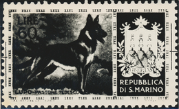 Thematik: Tiere-Hunde / Animals-dogs: 1956, San Marino, 60lire "German Shepherd", Two Photographic B - Cani