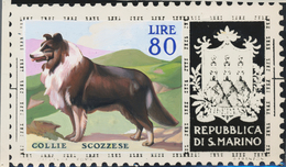 Thematik: Tiere-Hunde / Animals-dogs: 1956, San Marino, 80lire "Scotch Collie", Two Photographic B/w - Perros