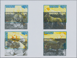 Thematik: Tiere-Hunde / Animals-dogs: From 1960 On (approx), All World. Accumulation Of About 60 Ite - Honden