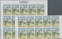 Thematik: Tiere-Vögel / Animals-birds: 1987, Morocco. Complete Set BIRDS (2 Values) In 2 IMPERFORATE - Otros & Sin Clasificación