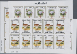 Thematik: Tiere-Vögel / Animals-birds: 1988, Morocco. Complete Set BIRDS (2 Values) In 2 IMPERFORATE - Andere & Zonder Classificatie