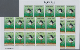 Thematik: Tiere-Vögel / Animals-birds: 1991, Morocco. Complete Set BIRDS (2 Values) In 2 IMPERFORATE - Autres & Non Classés