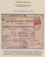 Österreichische Post In Der Levante: 1882/1914, HOLYLAND, Sammlung Mit Ca.20 Belegen Aus Dem "Heilig - Oriente Austriaco