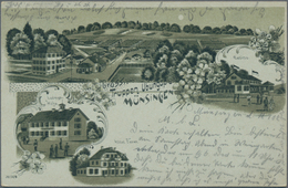 Ansichtskarten: Baden-Württemberg: MÜNSINGEN 1900/1920 (ca.), Partie Von 49 Ansichtskarten In Guter - Altri & Non Classificati