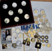 Alle Welt: Münzen Nachlass: Dabei Münzset Aus Palau "Matterhorn" In Hochwertiger Holzkassette, Diver - Otros & Sin Clasificación