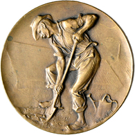 Medaillen Deutschland: Dresden/Sachsen: Bronzemedaille O. J. Von Hörnlein, Für Verdienste Um Den Gar - Otros & Sin Clasificación