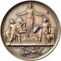 Medaillen Deutschland: Brieg: Bronzemedaille 1863 Von W. Kullrich/Loos. Zur Erinnerung An Die Schafs - Otros & Sin Clasificación
