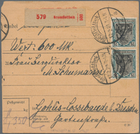Deutsches Reich - Germania: 1919/1922 (dabei 2 Stücke Aus 1891). Lot Von 13 Meist Besseren Paketkart - Verzamelingen