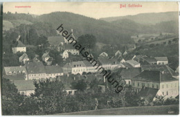 Bad Gottleuba - Augustusberg - Gesamtansicht 1908 - Verlag Paul Heine Dresden - Bad Gottleuba-Berggiesshuebel