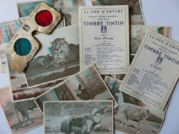 289 - Timbres Tintin - Zoo D’Anvers - Lunette  Effet 3 D - De 1 à 20 Vues Animaux - Altri