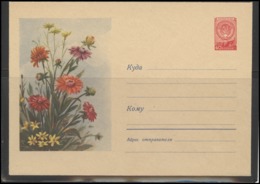 RUSSIA USSR Stamped Stationery Ganzsache 901 1959.01.29 Flora Plants Flowers - 1950-59