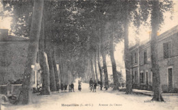 47-HOUEILLES- AVENUE DU CENTRE - Sonstige & Ohne Zuordnung