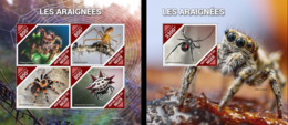 Niger 2019, Animals, Spiders, 4val In BF +BF - Araignées