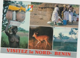 Afrique :  BENIN : Jeune Femme S Ein Nue , Village, Animal - Benín