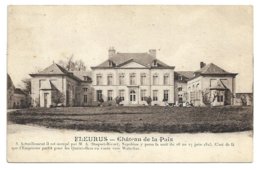 Fleurus   *  Chateau De La Paix  (M.A. Staquet- Bivort) - Fleurus