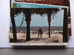 America USA SC Myrtle Beach Palms Along The Strand - Myrtle Beach