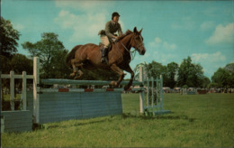 ! Ansichtskarte Pferdesport, Horse, Springreiten, 1976, Pferd, Cheval, Reitsport - Horse Show