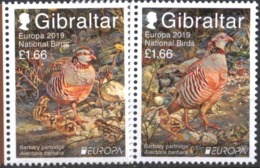 Mint Stamps  Europa CEPT Birds 2019 From Gibraltar - 2019