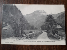 L22/705  LES CONTAMINES . Route De Notre Dame De La Gorge Et Aiguille Et La Pennaz - Contamine-sur-Arve