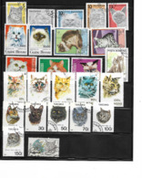 DEBUTANTS / CHATS / LOT Vrac De 25 Timbres Oblitérés - Otros & Sin Clasificación