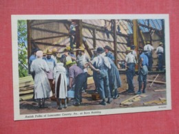 Pennsylvania > Lancaster Co.   Amish Folks ----Barn Raising      Ref   3658 - Lancaster