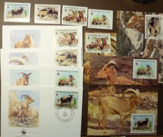 WWF Chad Tchad Tschad Barbary Sheep Goat Mähnenspringer Mouflons 1988 Maxi Card FDC MNH ** #cover 4937 - Collections, Lots & Series