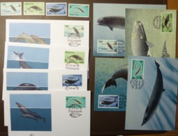 WWF 1990 FÄRÖER FAROE ISLANDS Marine Sea Life Mammals Whale Whales Wale Baleine Dolfij  Maxi Card FDC MNH ** #cover 4942 - Collections, Lots & Séries