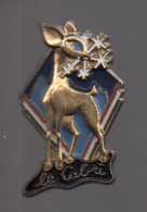 REF : MON1 : Badge Médaille Ecole De Ski Le Cabri - Wintersport