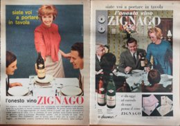 1964  - Vino ZIGNAGO (Portogruaro )-  2 Pag. Pubblicità  Cm. 13x18 - Vin