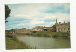 Cp ,85 , DAMVIX ,l'église Et La Sèvre , Vierge , Ed. Artaud - Other & Unclassified