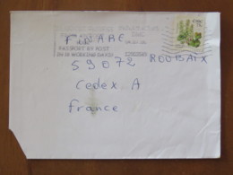 Ireland 2005 Cover To France - Flower Navelwort - Lettres & Documents