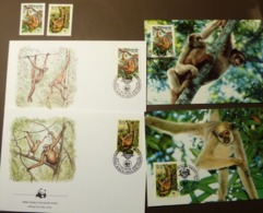 1984 BRAZIL BRASIL WWF FAUNA ANIMALS MONKEYS Muriqui  Maxi Card FDC MNH ** #cover 4979 - Collections, Lots & Séries