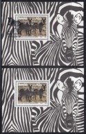 Namibia (Previously South West Africa SWA) - 1991 - Mountain Zebra - Gebruikt