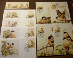 WWF 1990 PORTUGAL AZOREN  Mi. 405-408 Birds  Oiseaux Azorengimpel Maxi Card FDC MNH ** #cover 4997 - Collections, Lots & Series