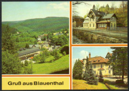 5593 - TOP Blauenthal Ferienheim Forelle OT Wolfersgrün Erholungsheim - Bild Und Heimat Reichenbach - Aue