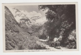 BB831 - AUTRICHE - Wasserfallboden Im Kaprunertal - Kesselfall - Alpenhaus - Kaprun