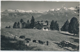 Aux Pâturage, Mayens De Sion - Sion