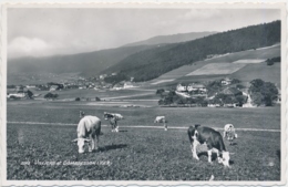 Villers Et Dombresson - Val-de-Ruz - Dombresson 