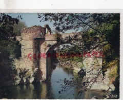 09- LE PONT DU DIABLE ENTRE TARASCON ET FOIX    - ARIEGE - Sonstige & Ohne Zuordnung