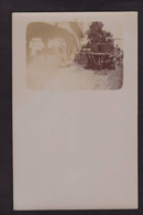 CPA Algérie Afrique Du Nord Non Circulé Carte Photo RPPC Métier Vendanges Pressoir - Métiers