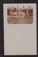 CPA Algérie Afrique Du Nord Non Circulé Carte Photo RPPC Métier Vendanges - Berufe