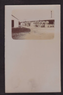 CPA Algérie Afrique Du Nord Non Circulé Carte Photo RPPC Métier Vendanges - Professioni