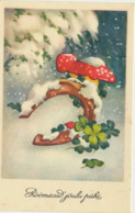 75-720 Mushrooms Fly-agaric Fliegenpilze Estonia Christmas - Pilze