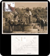 Portugal 2019 Postal Máximo Raças Autoctones Burro Maximum Maxicard Alcoutim Algarve Donkey Ane Asno Water - Anes