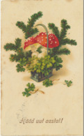 75-764 Mushrooms Fly-agaric Fliegenpilze New Year Estonia Tori EAS Nr 654 - Mushrooms